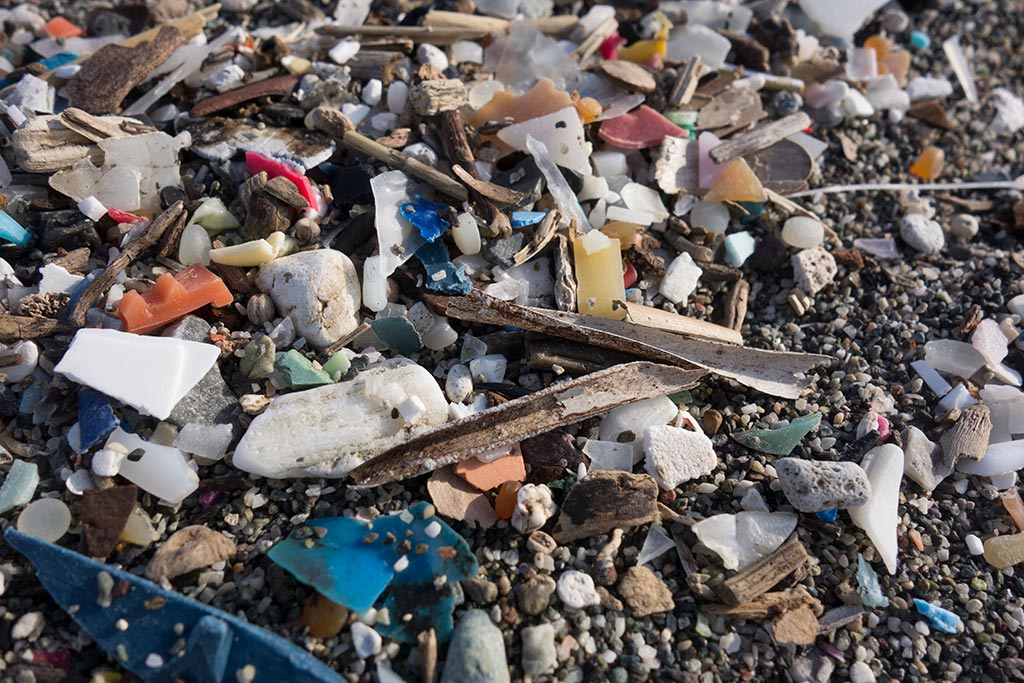 microplasticos