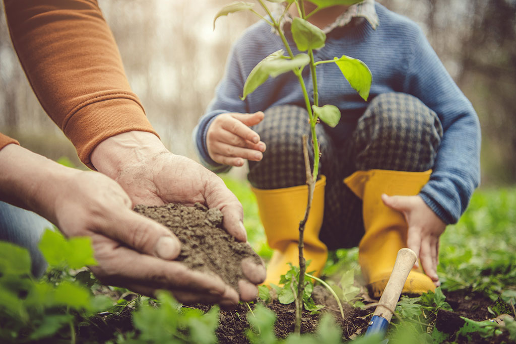 1 Millón De árboles Una Campaña Para Mitigar El Cambio Climático Vida Y Salud 5804