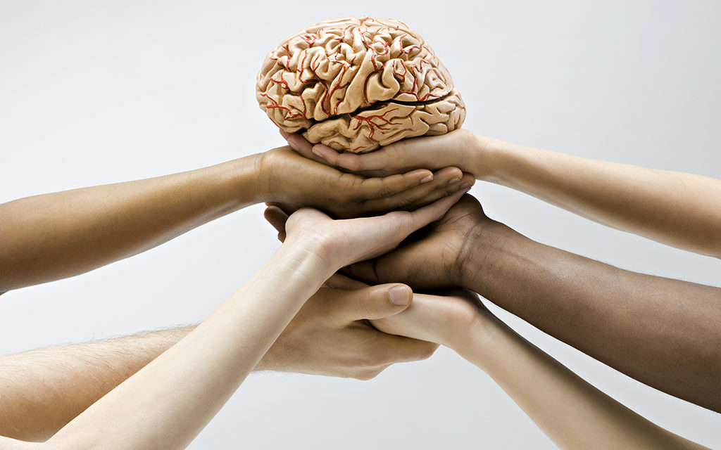 cerebro